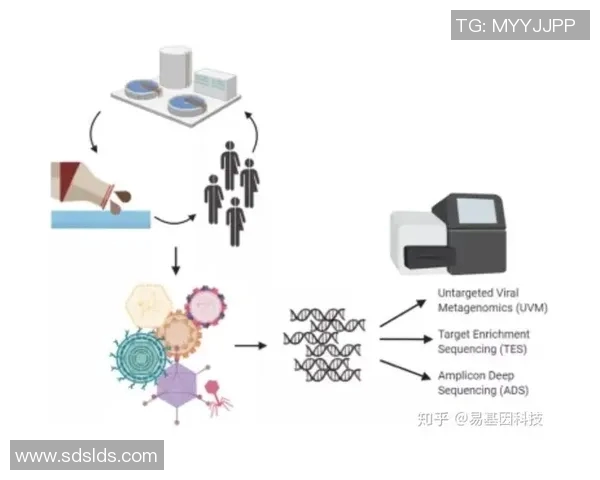 深入分析TES中路突破打法的策略与执行细节